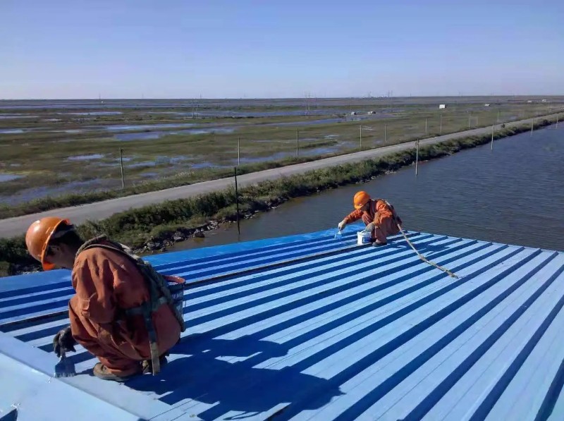 漳平钢结构屋面漏水原因